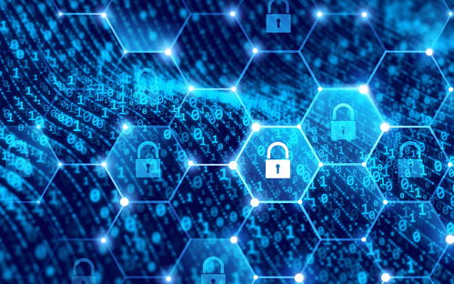 當破產程序遇上執行異議 互聯網科技開發與技術服務企業的法律應對策略